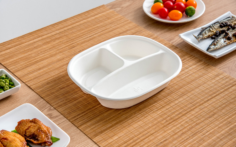 bagasse-product-35---warmpack bagasse-product-35---warmpack