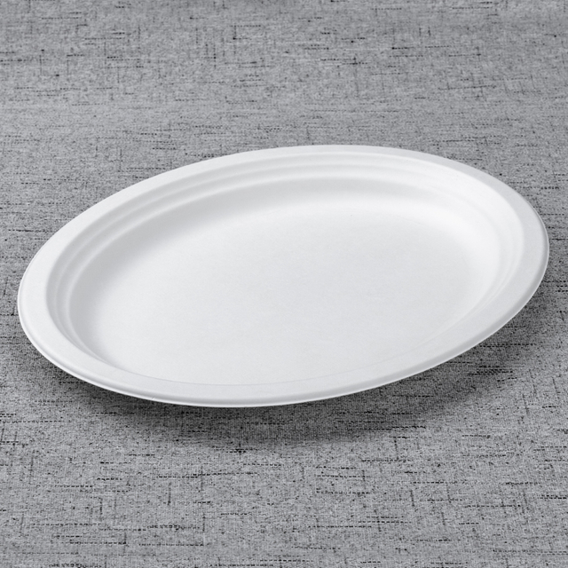 bagasse large oval plate - Warmpack