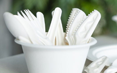 Bagasse vs Paper Products: Which is Greener?