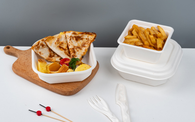 Bagasse vs Paper vs Plastic: Which Food Packaging Wins in 2025?