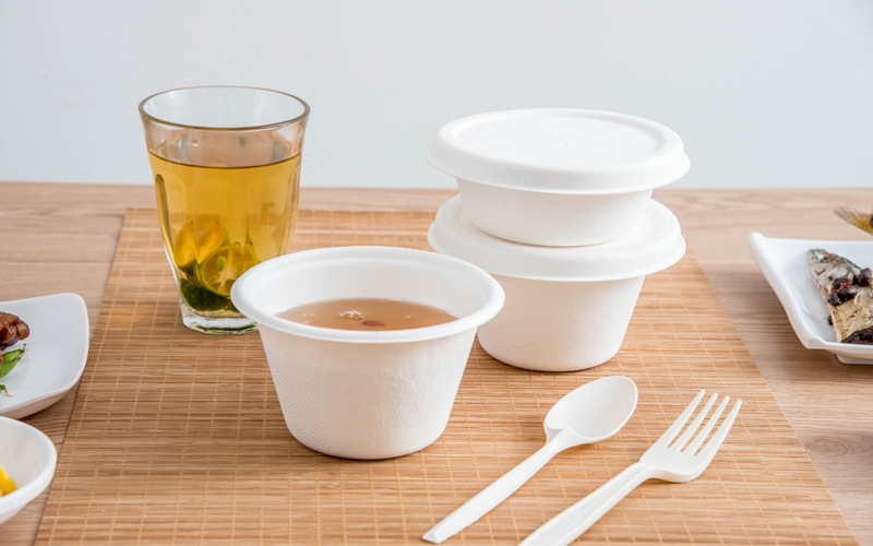 Bagasse Bowls with Lids: Size, Fit & Material Guide