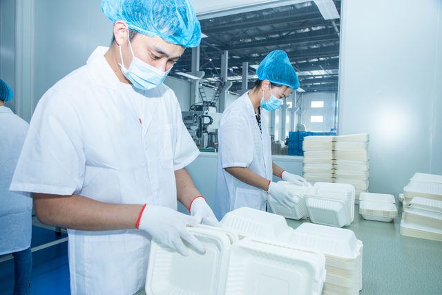 bagasse BOX manufacturers - Warmpack (4)