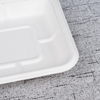 Bagasse Fresh Food Tray T3 – Warmpack