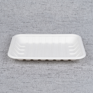 Bagasse Fresh Food Tray T230 – Warmpack