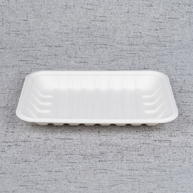 Bagasse Fresh Food Tray T230 – Warmpack