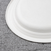 bagasse large oval plate - Warmpack
