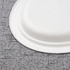 bagasse middle oval plate - Warmpack