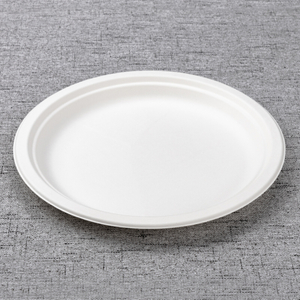 bagasse 10 inch round plate - Warmpack