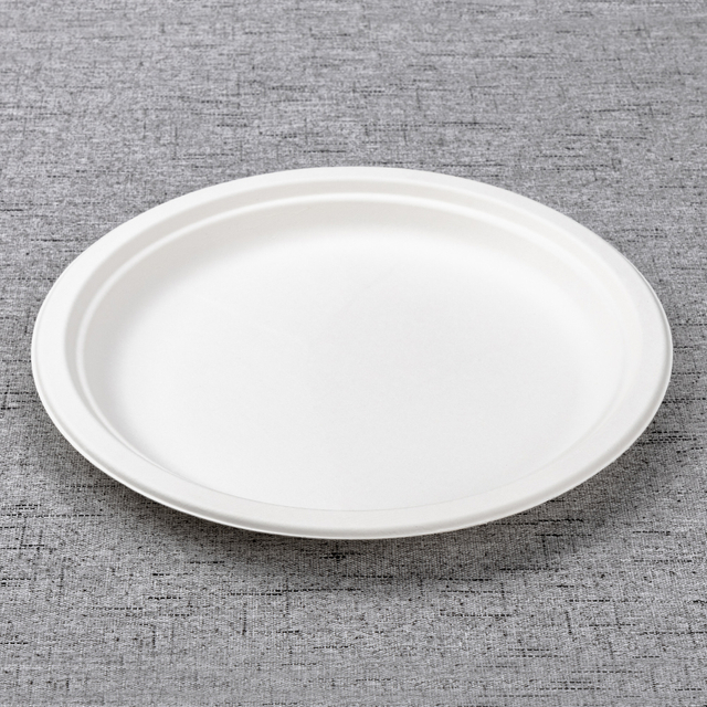 bagasse 10 inch round plate - Warmpack