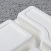 bagasse 3 div container - Warmpack