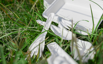 Can bagasse be used as fertilizer?