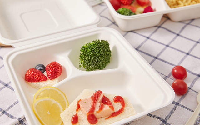 Bagasse Clamshell Factory Direct - Warmpack
