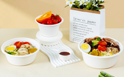 Top Bagasse Bowl Manufacturers 2025