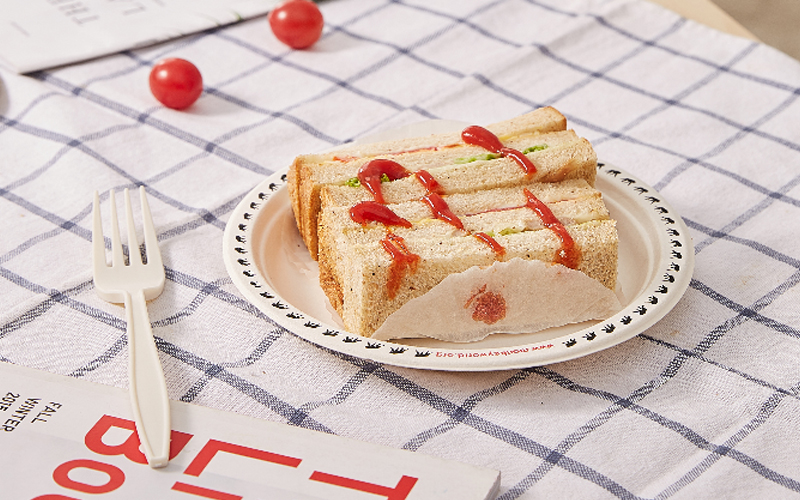 bagasse-plate-11---Warmpack