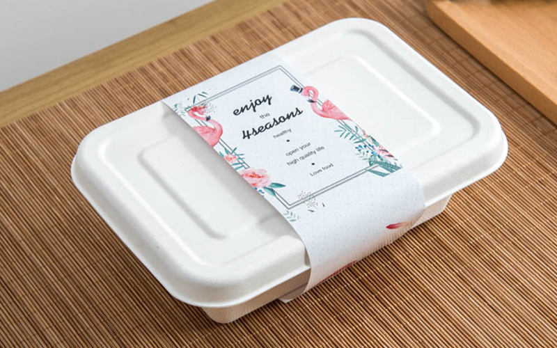 bagasse-product-52---warmpack