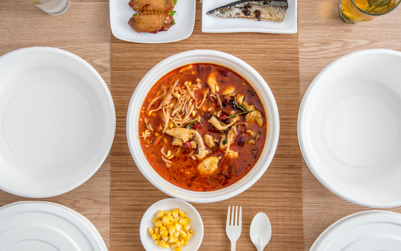 bagasse-product-87---warmpack