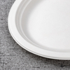 bagasse large oval plate - Warmpack