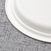 bagasse 10 inch round plate - Warmpack