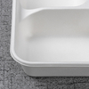 bagasse 4 div container NP002 - Warmpack