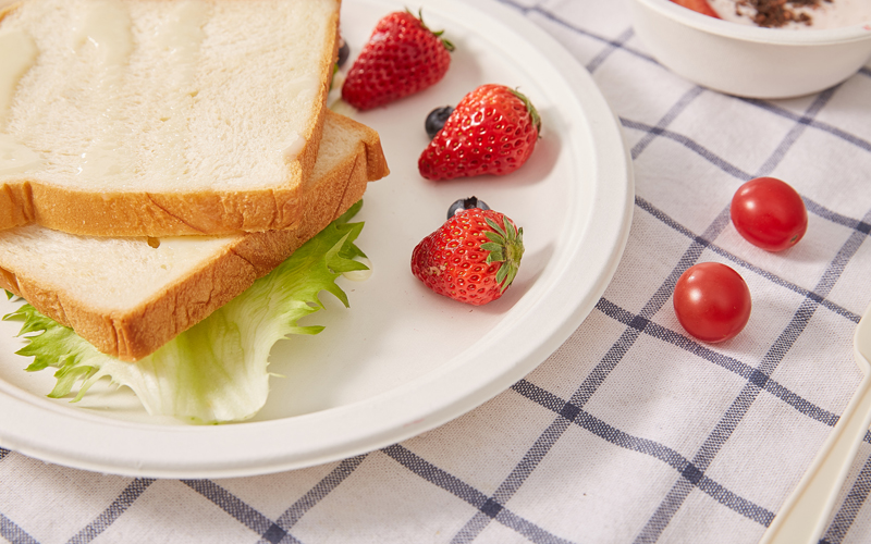 bagasse-plate-3---Warmpack