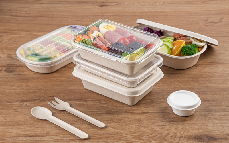 bagasse-product-69---warmpack