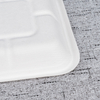 Bagasse Fresh Food Tray T3 – Warmpack