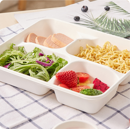 Compostable lunch box