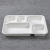 bagasse 5 div container - Warmpack