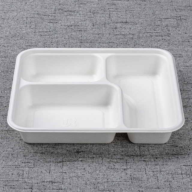 bagasse 3 div container - Warmpack