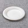 bagasse 6 inch round plate - Warmpack