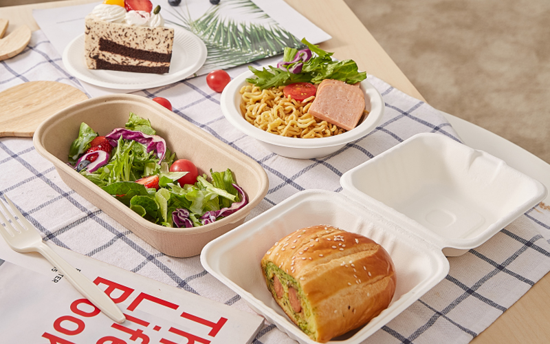 Bagasse Burger Boxes: Sizes, Performance & Buyer Guide