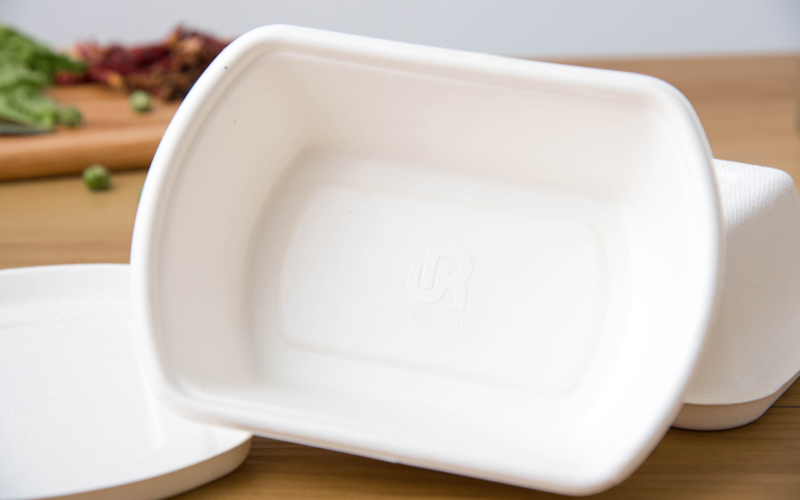 bagasse-product-62---warmpack