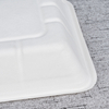 Bagasse Fresh Food Tray T7 – Warmpack