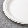 bagasse 9 inch round plate - Warmpack