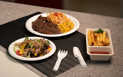 Top 10 Sugarcane Pulp Tableware Manufacturers in 2025 | Compostable Bagasse Plates & Bowls