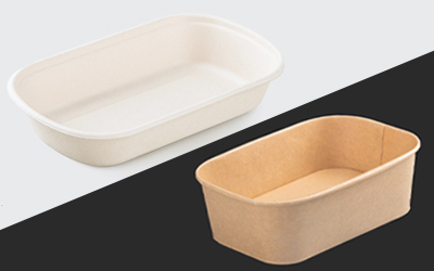 Bagasse vs Kraft Paper: Why Pay More?