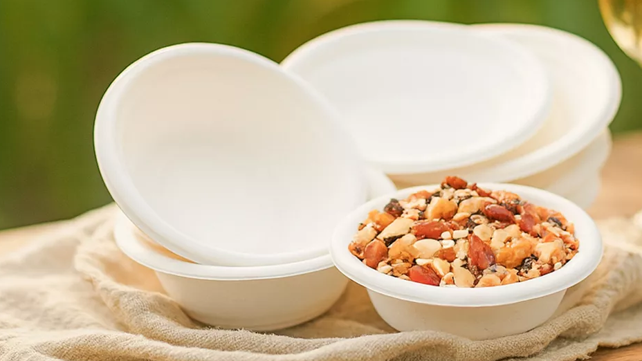 bagasse bowls - Warmpack