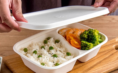 Bagasse Vs. Plastic Containers: Which Food Packaging？