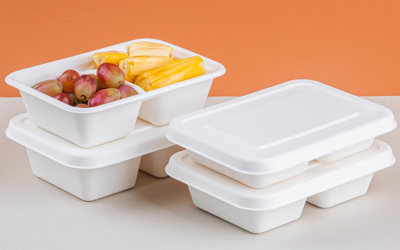 Top Bagasse Square Box Manufacturers 2025: Why Choose Warmpack - Warmpack