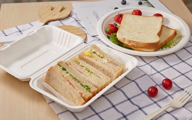 bagasse-clamshell-2---Warmpack