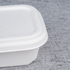 900ml Bagasse square bowl - Warmpack