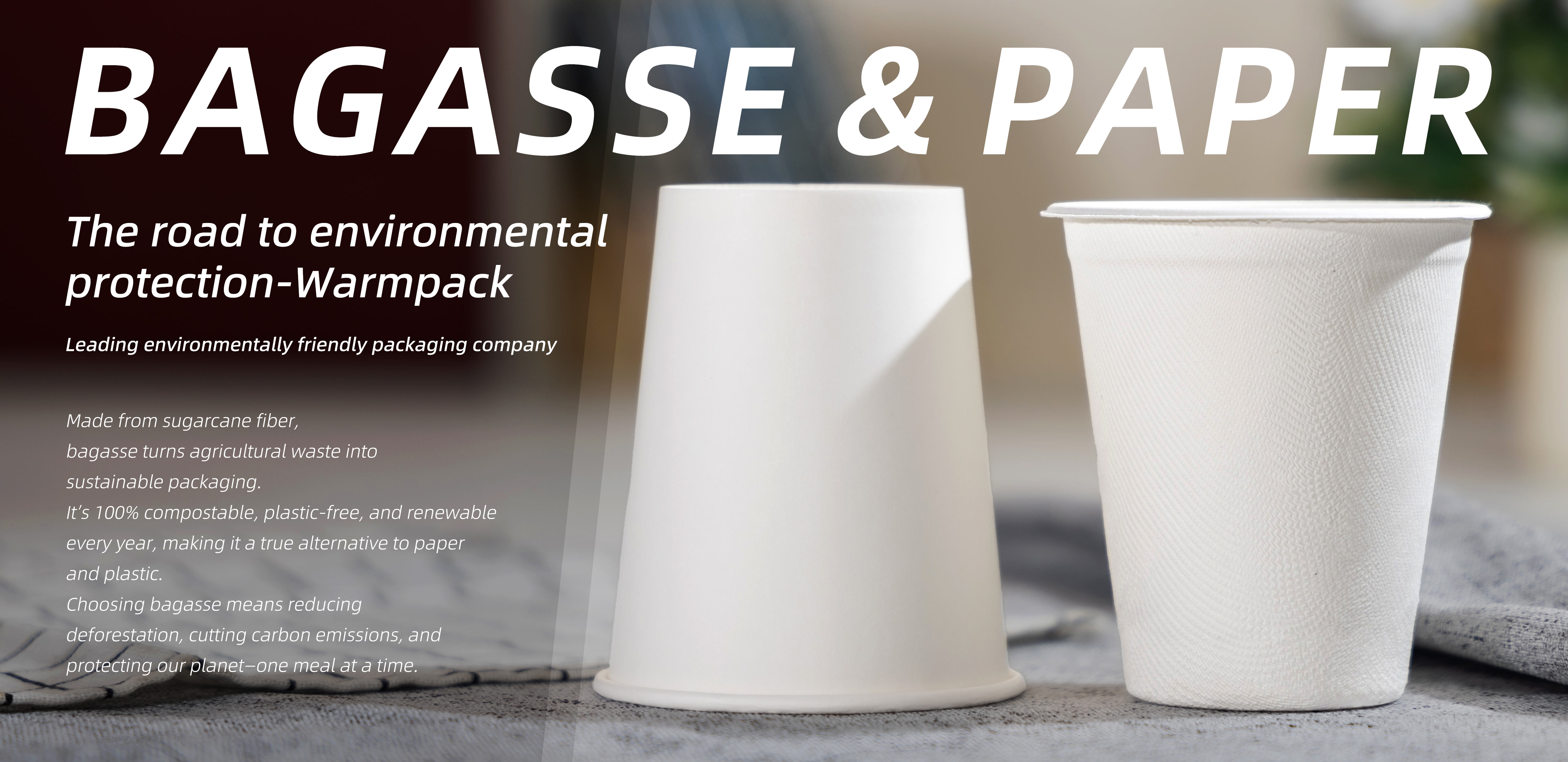 Bagasse-cups-and-paper-cups