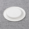 bagasse 6 inch round plate - Warmpack
