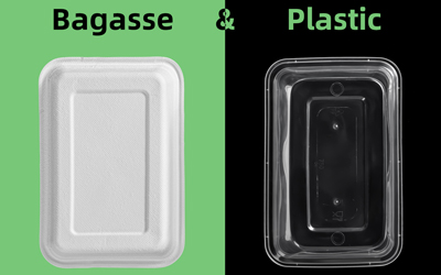Bagasse vs Plastic: Why Pay More?
