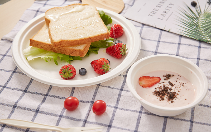 How to Test Bagasse Food Containers Before Buying