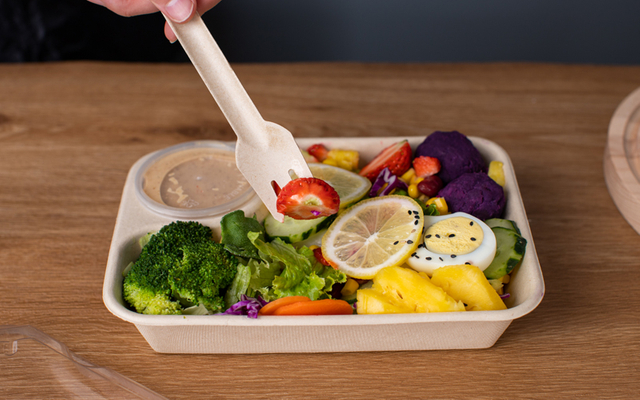 Bagasse Compartment Container Supplier - Warmpack