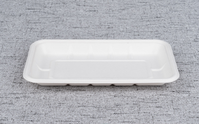 Sugarcane Bagasse Tray Manufacturing in Warmpack