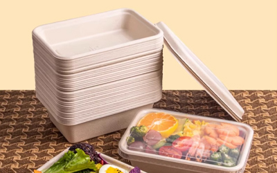 bagasse-products-4----Warmpack