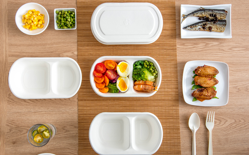 bagasse-product-28---warmpack