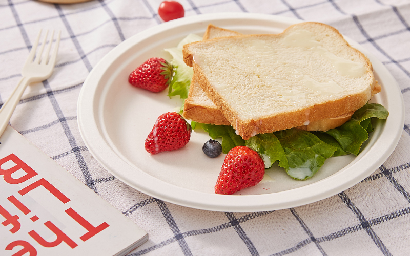 bagasse-plate-6---Warmpack